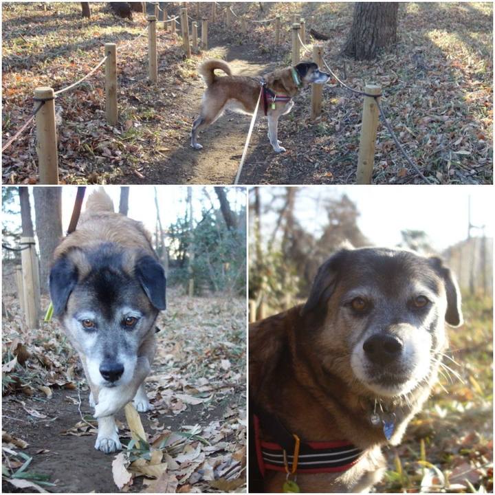 1d61c3ce cbc9 4d2d b566 d7ea5ca2b068 1547463775422