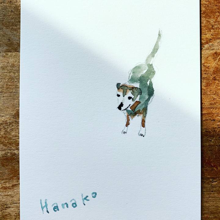 1d61c9ff c8c4 4049 a2dc b4c24a72d895 1581725692089