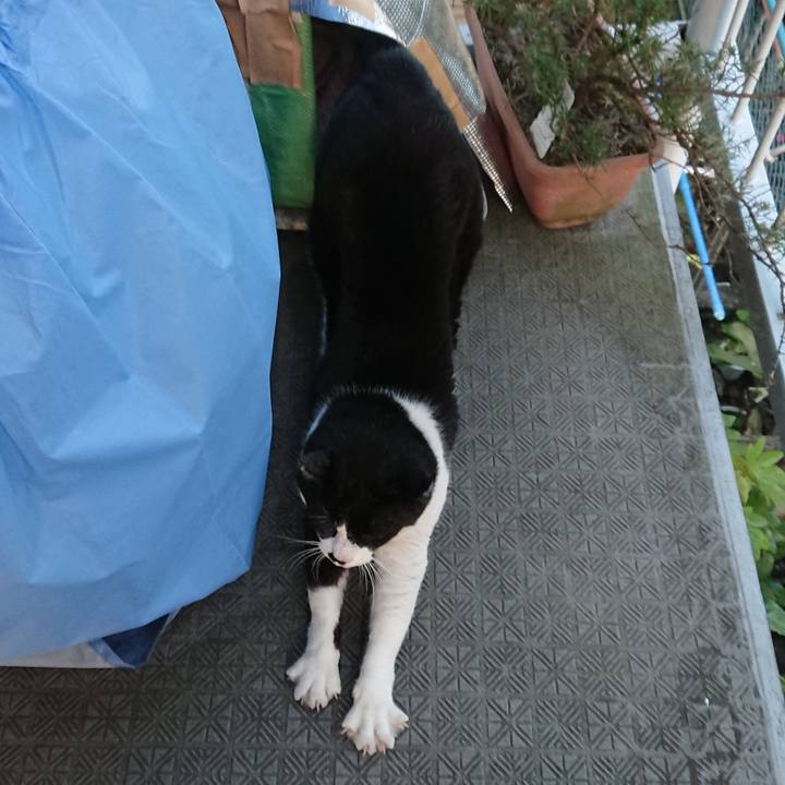 1d62029d 22c1 45ab abcc 7affd379419a 1550634760661