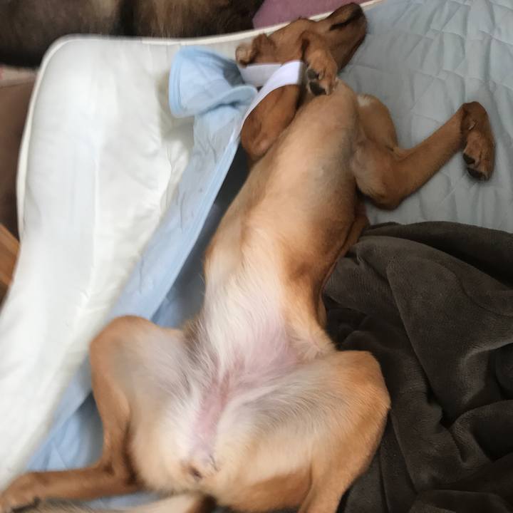 1d62213b 5ca0 4b48 8b6f 2326ef41281b 1537571586695