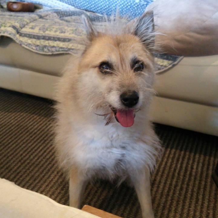 1d623b5c e966 4d1d bdd2 076fe58c19b1 1666687553658