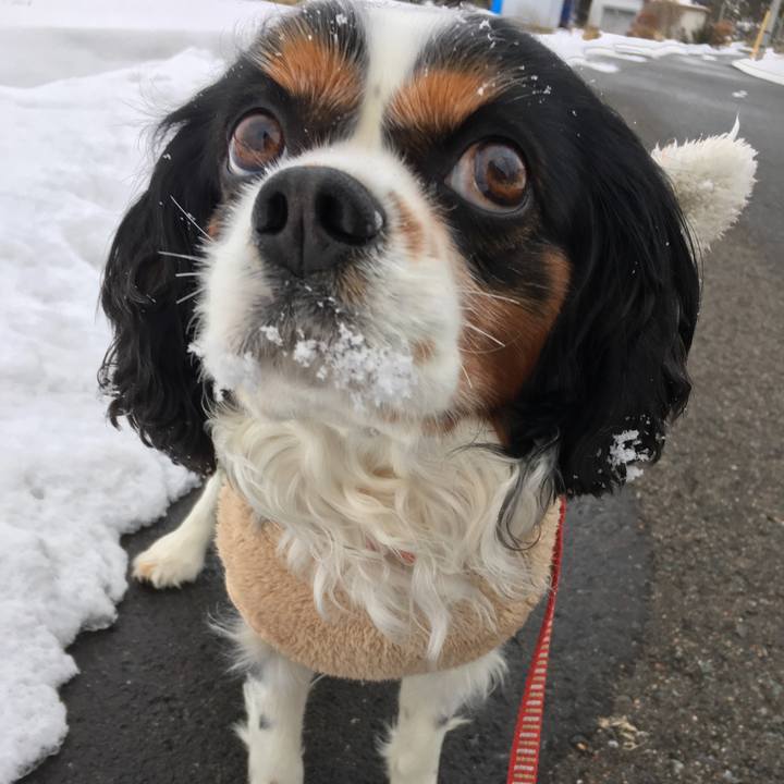 1d625160 c4ac 404c 8142 4e65a34f7e88 1515568034224