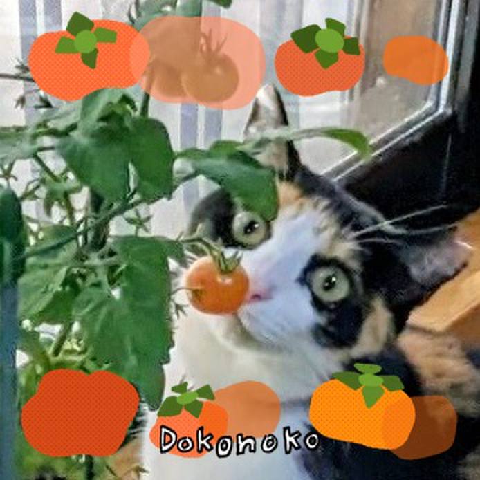 1d629961 3e0d 461c bc87 b37a7f21e4d7 1761996160044