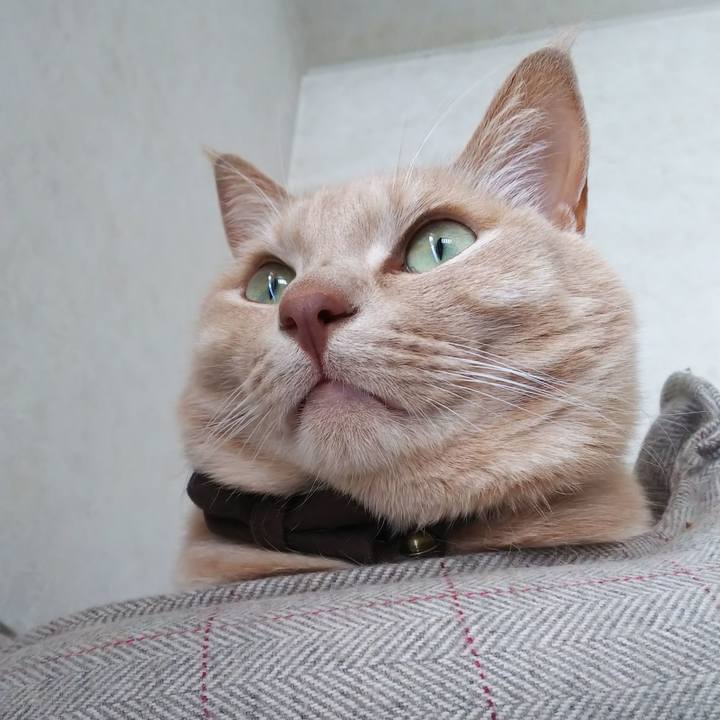 1d629f98 f8ee 4f98 b9d9 92406c7d1780 1641274058936