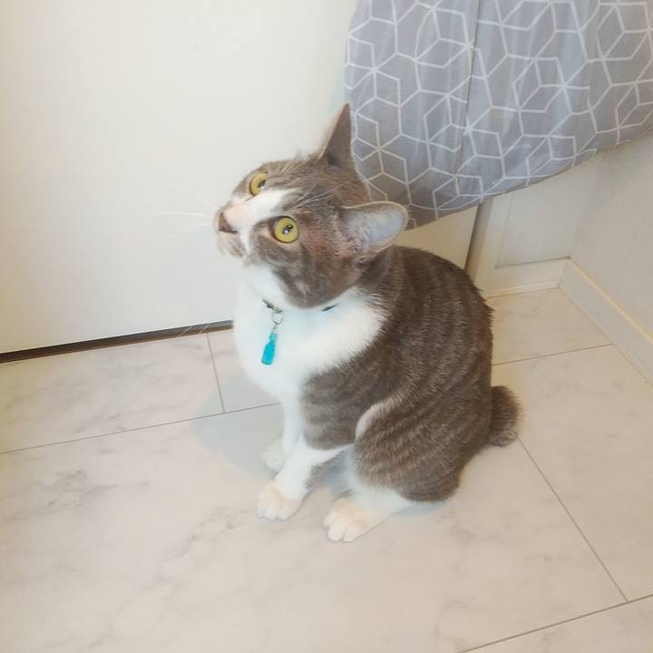 1d62b6af a532 447f a569 e3d78554b683 1587769216604