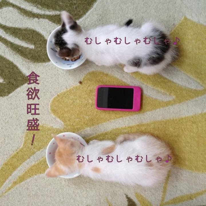 1d62c8ab 7ef6 418a 8ec2 4389da535630 1643455335957