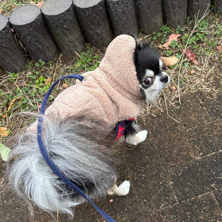 1d62c93e 1c82 4503 b162 29b5659b9303 1766337353290