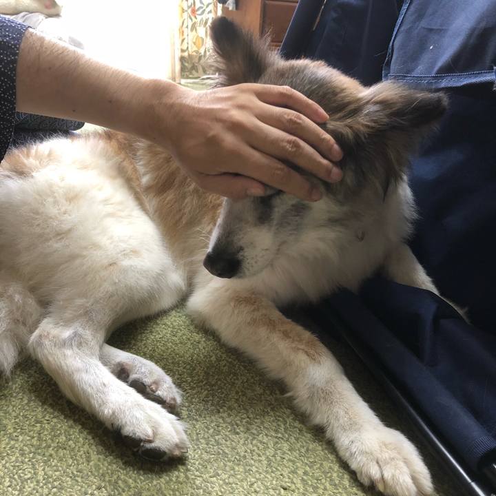 1d631af7 fdba 4c89 8c22 a431f6bd4dd1 1539553391272