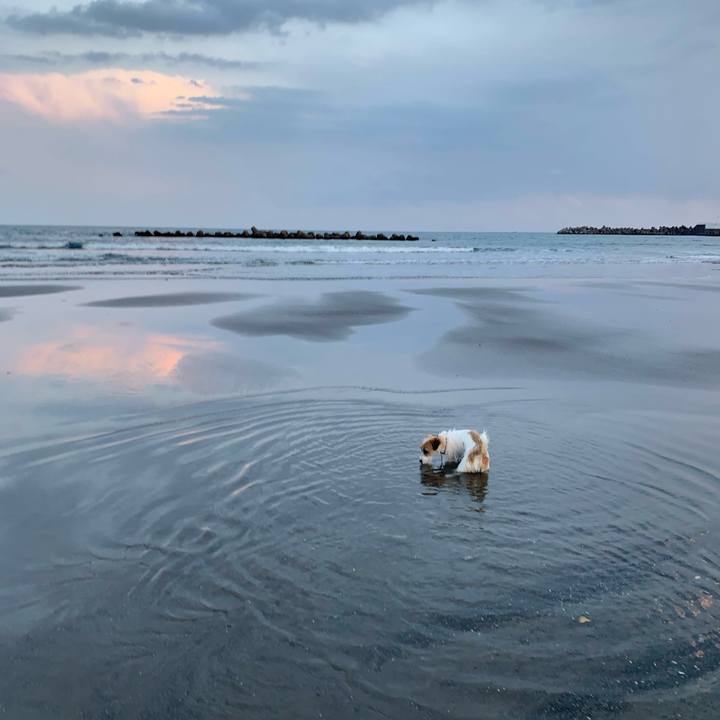 1d634283 759e 4bff a506 2073a4bff7e2 1773668832100