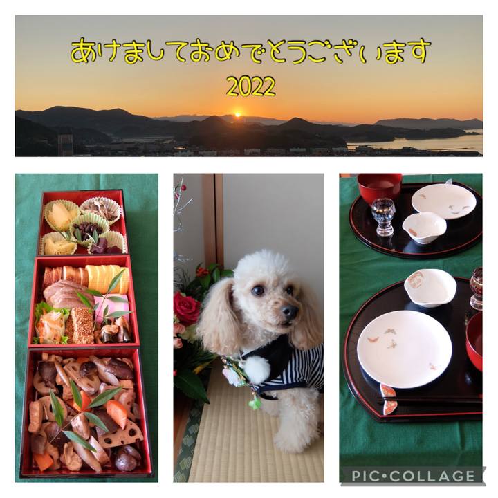 1d63578b 209d 49cb 9a62 9181aacd2ca3 1641079303405