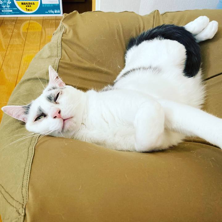 1d638c84 798c 44ce 834f 1173209c2f0c 1573749175650