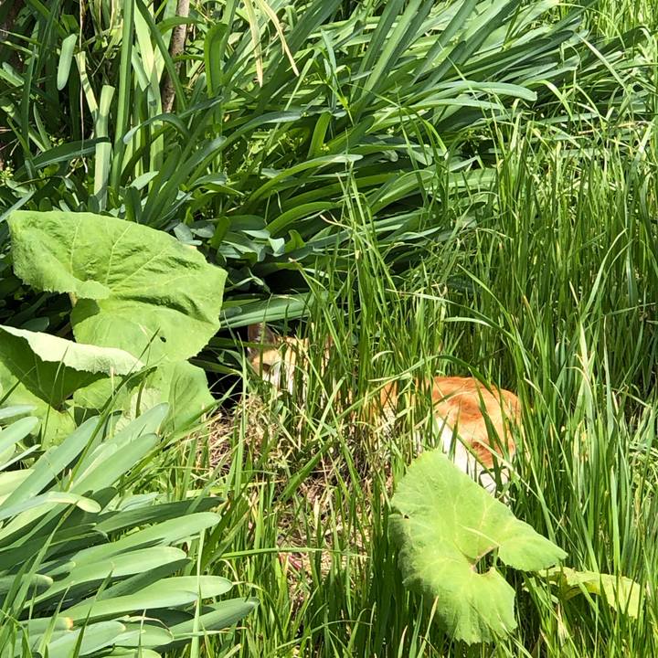 1d63cd86 fd01 4d82 b056 90306ff69755 1680523515266