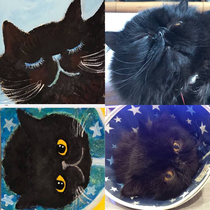 1d63dd7a 1f2d 43d1 9770 528a224a42e4 1549550880576