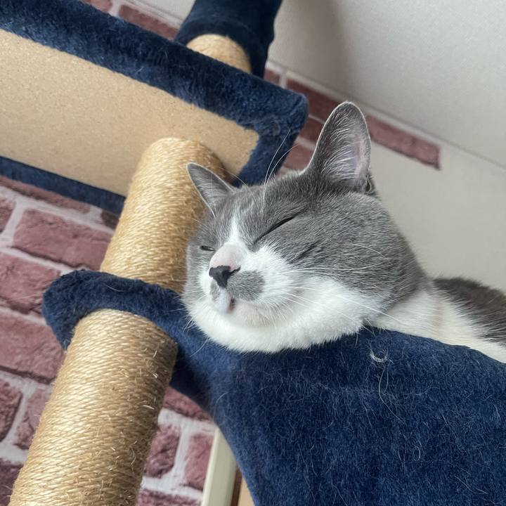 1d64423c 2ffe 469a 9c9e 8d1e80c933e4 1744842322326