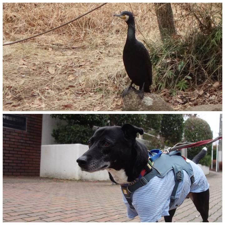 1d64819d 043d 4c68 82d6 69490dd53ff8 1708822339119