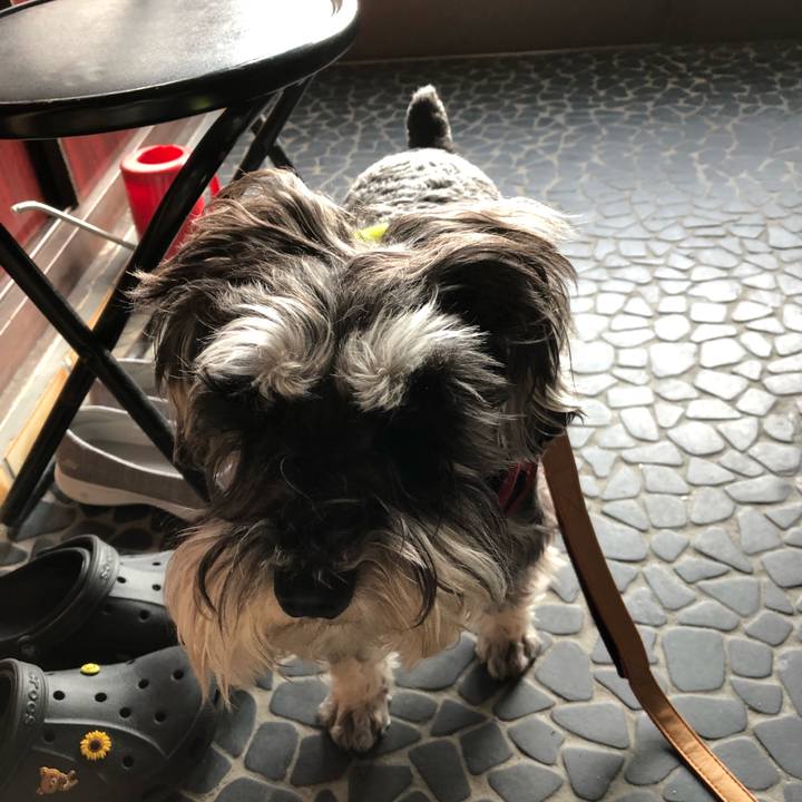 1d64a3ec 9c77 4edd b5ad 66e1264c5e83 1527889161255