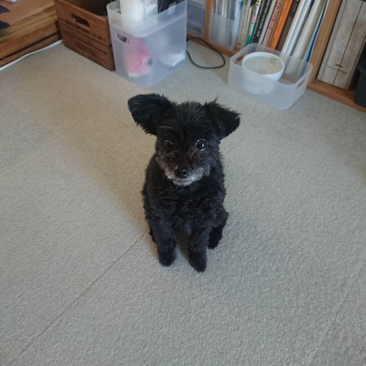 1d64a43c 461d 479a abd7 863162a086aa 1560640253431