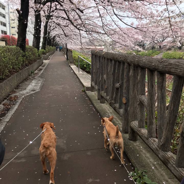 1d64b472 de8e 44f1 b626 2cd8deeca736 1554071962168