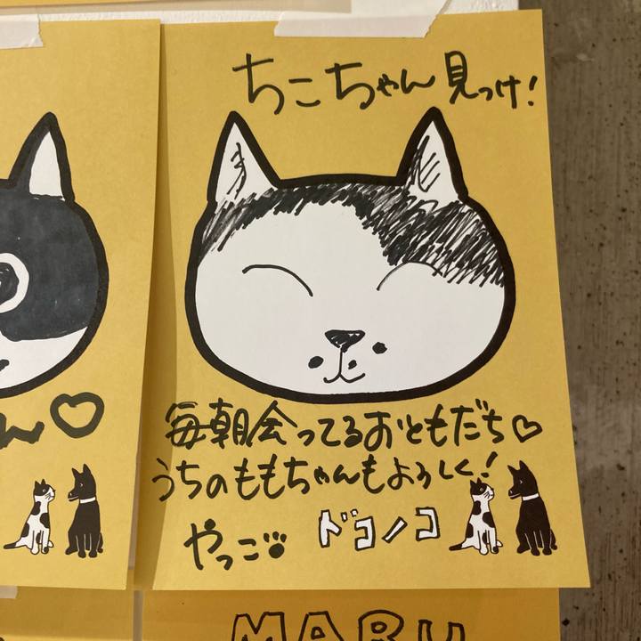 1d64bce9 852e 4f17 8463 def8c9e38769 1761888928927