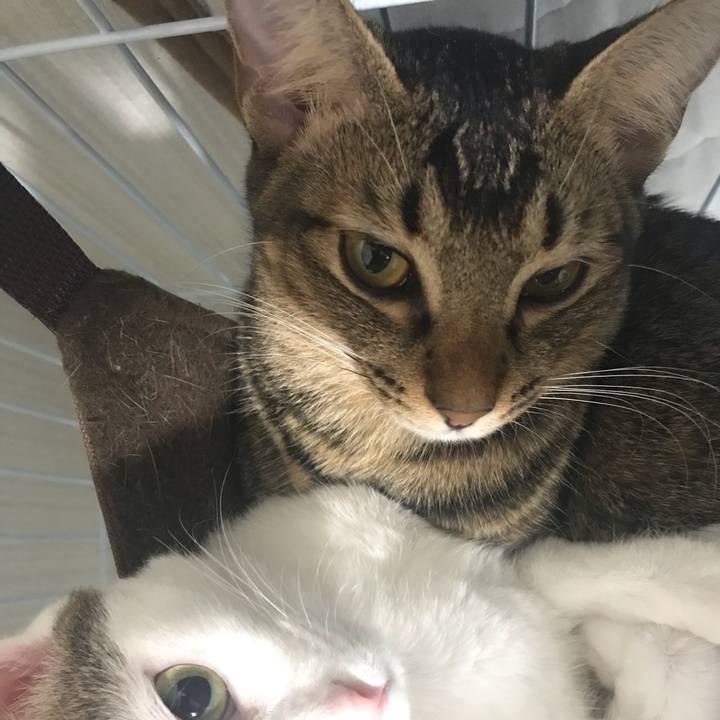 1d64ced1 d84b 4454 90f5 37bd09d3d6e6 1547104977266