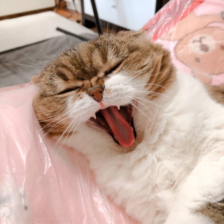 1d64d9bf 421a 489f a020 8ac147e057ed 1558156603439