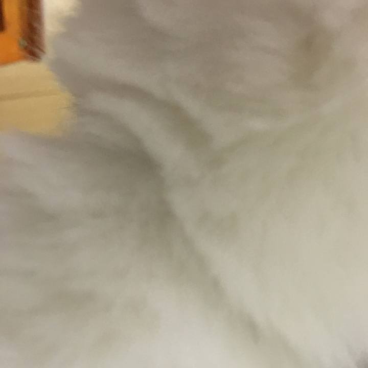 1d64e545 dac6 4a1b bade cc55765b1a61 1561036211007