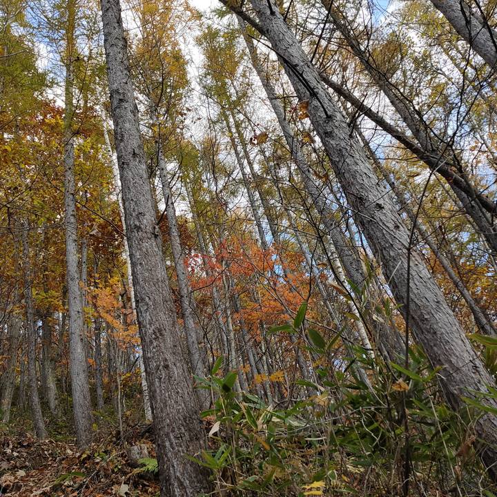 1d64ebae 7af9 4904 bd3d 42dd0ff29ad7 1604119103899