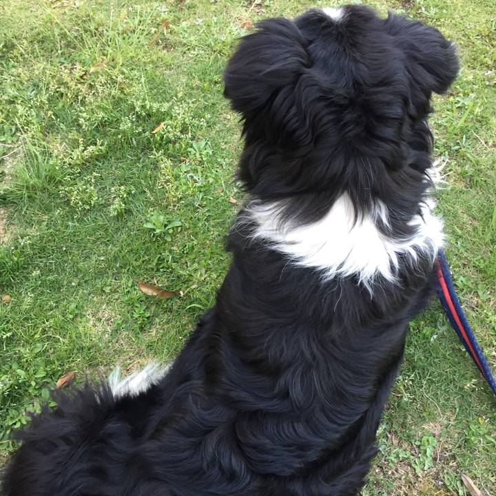 1d6515cd f897 4969 ba5b 36eea83d7958 1589188317867