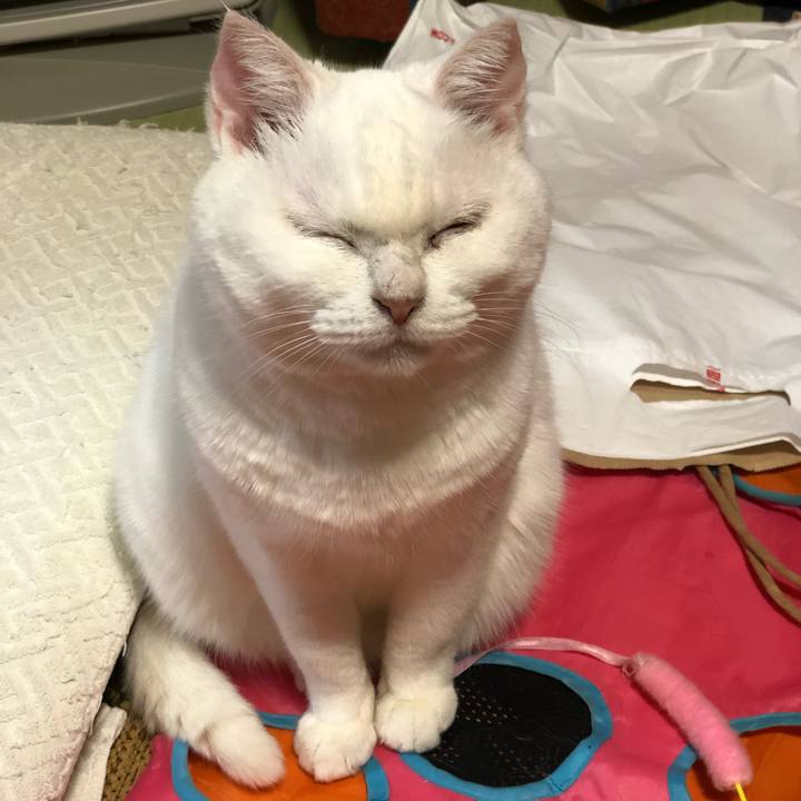 1d651f76 1bfe 4840 901a 2fbc3ba41e97 1538489626272