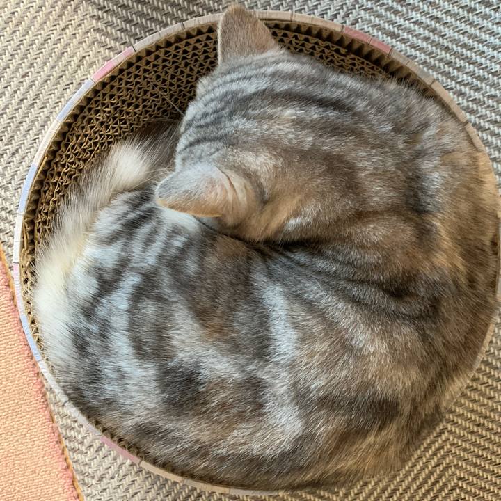 1d6555c1 a66d 46b7 86a1 4e4c5cdb8f7e 1705471588768