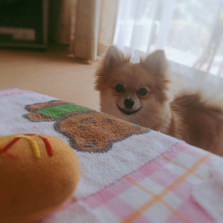 1d6560bd 08c1 4284 a2ca 9d6c2bfc138a 1522556465961