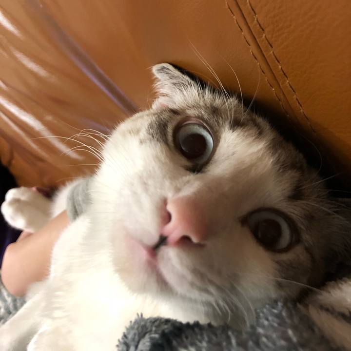 1d657ec2 6eaf 4da0 b2da 849aa76c7fcd 1521381557445