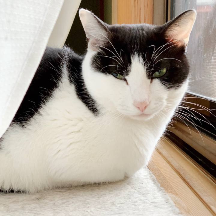 1d65c35d 35d6 4374 aec1 8f45a585785d 1553576129077