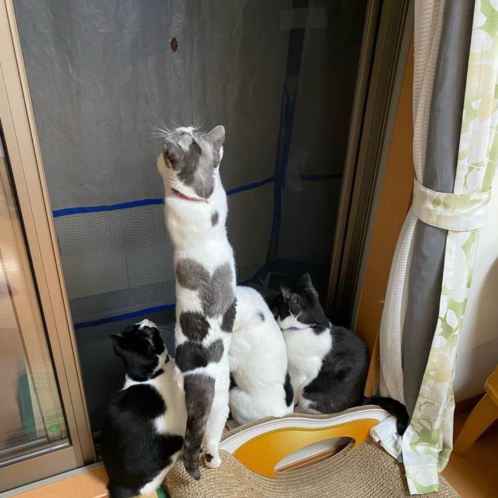 1d65c394 eb58 4826 8809 16a6eb12fa7c 1597549765017