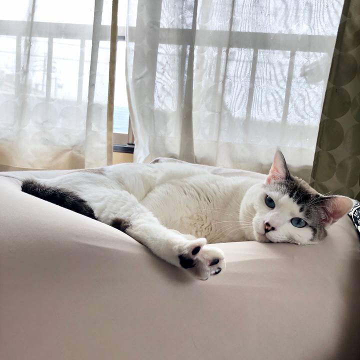 1d65db01 ef65 49c8 a8fb 3cfdd4721e9c 1584414605878