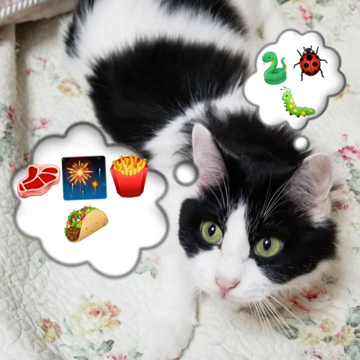 1d65dbfa 9367 4b44 a8c1 fd6c40d896cd 1565654499611