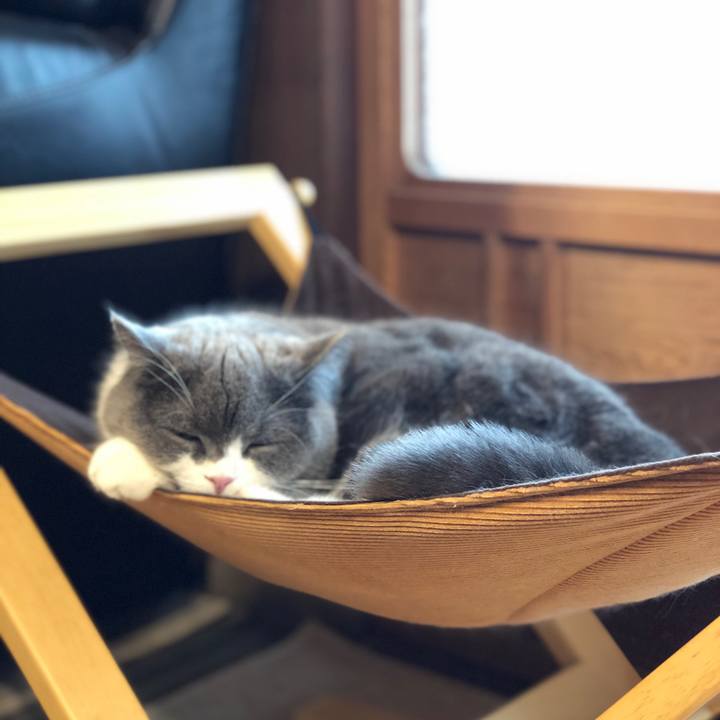 1d65df9b 6f9f 43b0 801c 1dbf8d3fa9d7 1555220870439