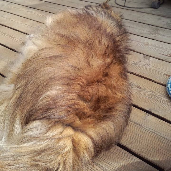 1d65e040 e521 4662 8a32 7afdb81ee893 1626324918570