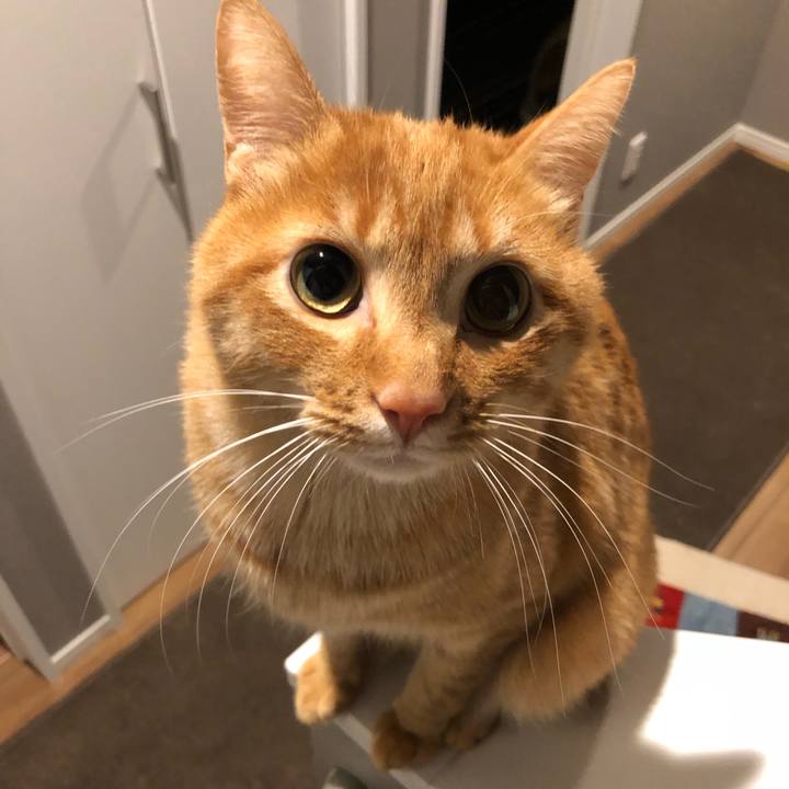 1d66129b bc70 454a 8f12 7a1f76a4645c 1643667603438