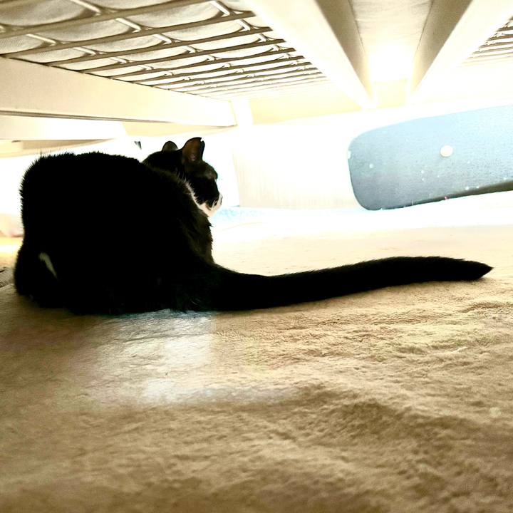 1d661f48 4743 495f 8b16 072ad3eec2fc 1726791336148