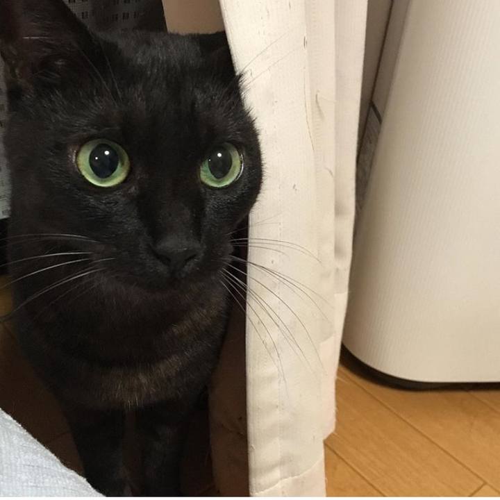 1d664fc2 0a11 4be3 8a33 7bdf8378500c 1569105713399