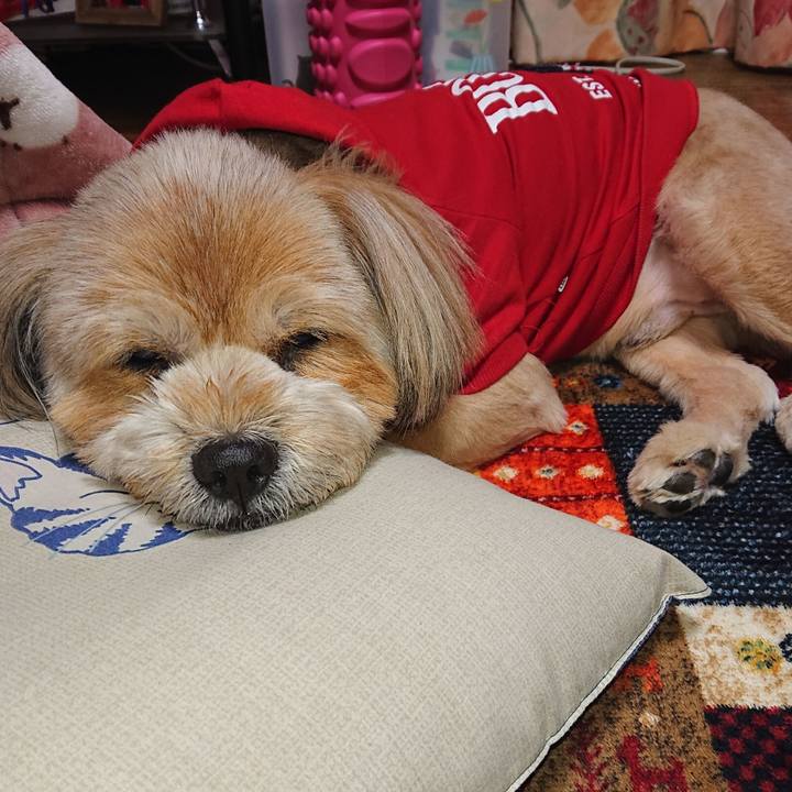 1d666ecb 8ab3 480a a973 e74ec12706af 1611480358021