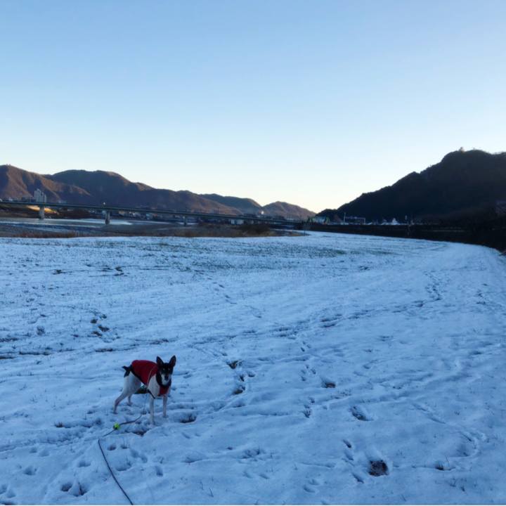 1d667df4 8ccf 49f6 b024 0fa082e062f4 1546128421544