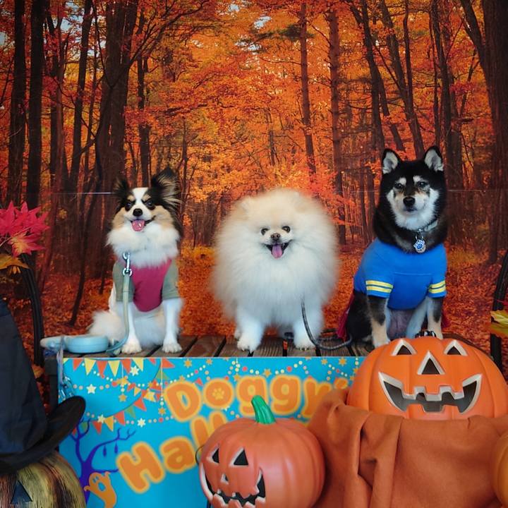 1d66ca18 5cd6 429c 9941 ff4c4aaa9c30 1728057330908