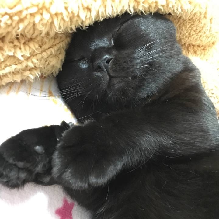 1d66fca7 3399 40c8 95fa d0f7e06dda82 1508132998219