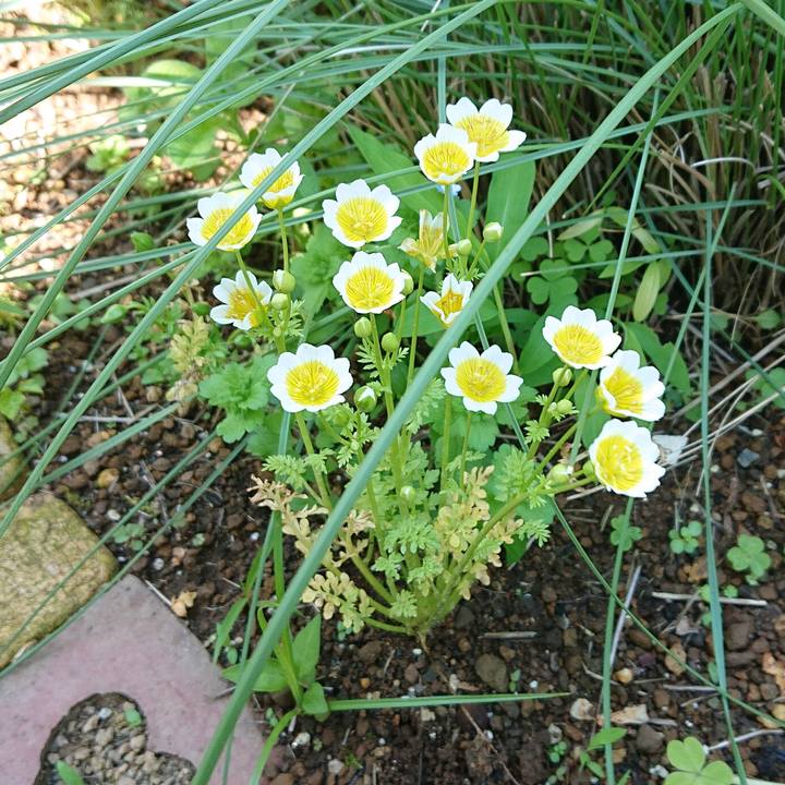 1d66fd07 6697 4302 889e c52dc743250b 1651717624105