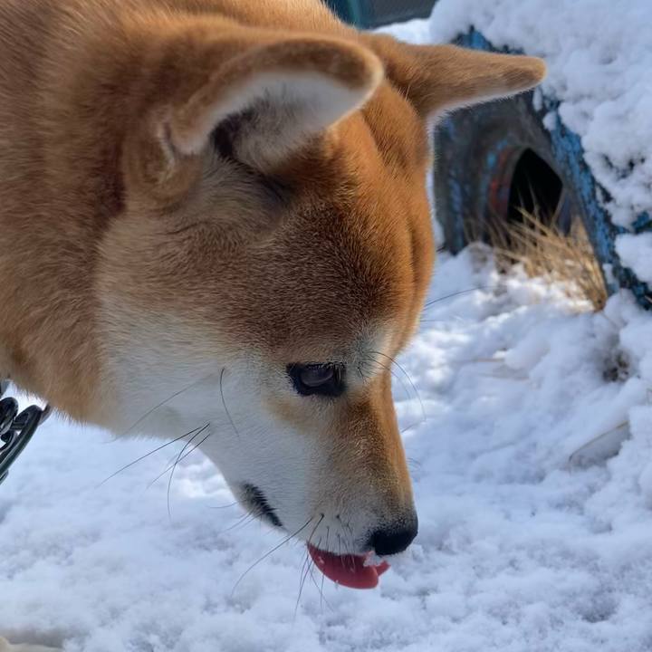 1d670339 d678 4f87 81a9 118e2413aefd 1642134211779