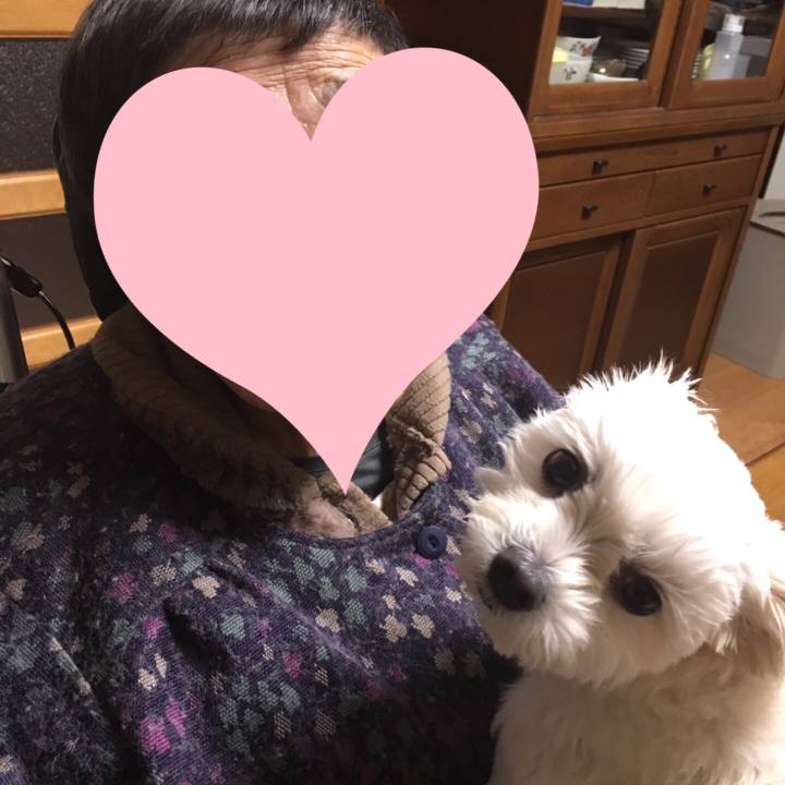 1d67238e 17ab 4bca 8ece 46202dfaf5f7 1545906792089