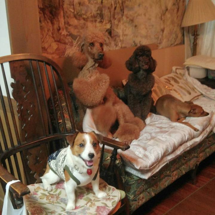 1d675ed4 8663 4214 8c56 904761f9a3ea 1531003046717