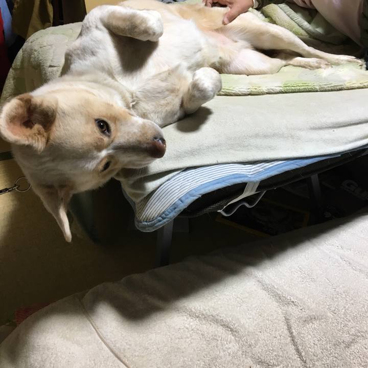 1d67667a 6b72 41e5 9681 5770be31ae65 1516547232409